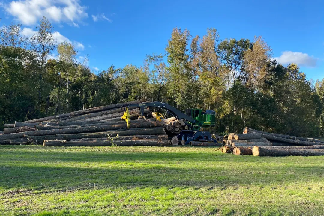 A knuckleboom loader working a large deck of hardwood logs at the edge of a field.