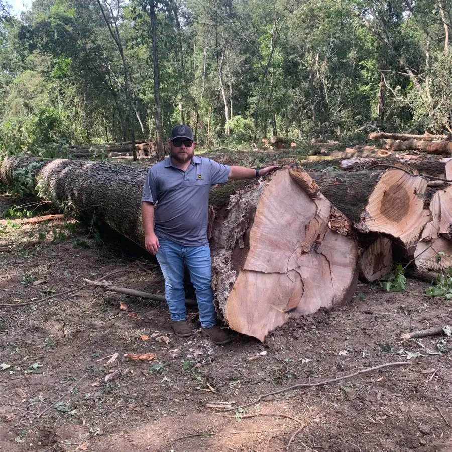 Robert Hooper standing beside a large felled hardwood log.