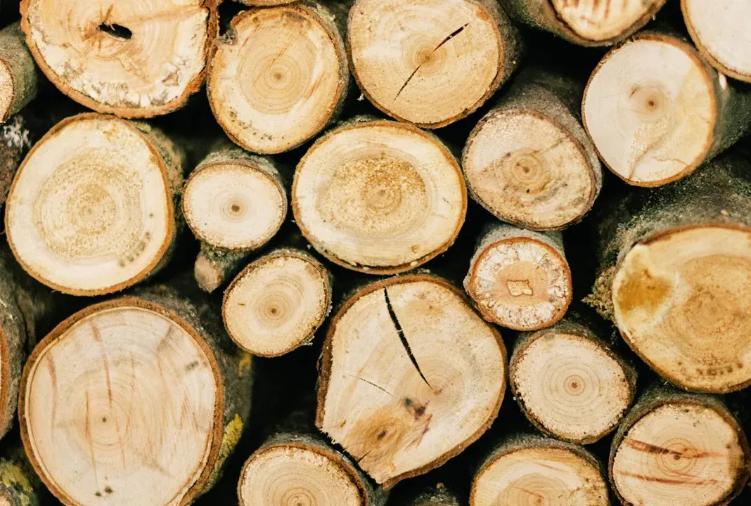 Close-up of stacked small-diameter log ends.
