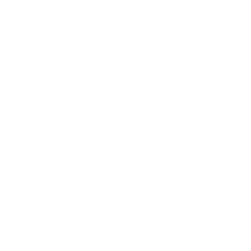 Dixie Logging LLC